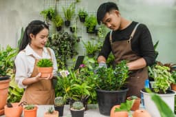 Kumpulan Tips dan Ide Taman di Dalam Rumah yang Bisa Dicoba
