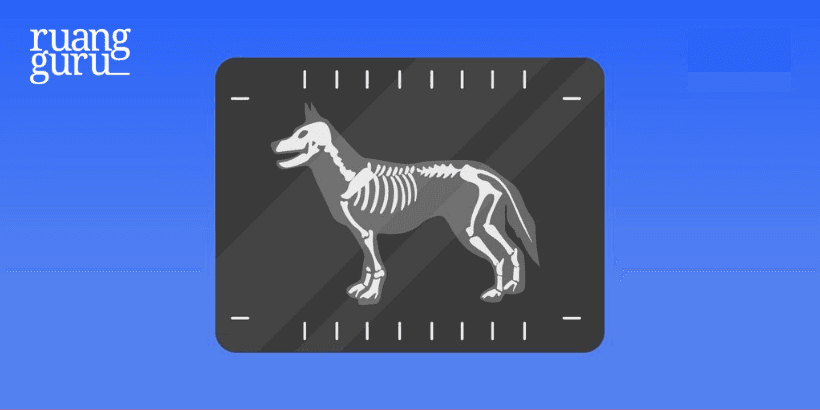 Soal & Pembahasan PTS Kelas 12 SMA IPA Semester Ganjil 2025