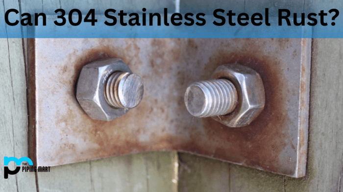 Apakah Stainless Steel Bisa Berkarat?