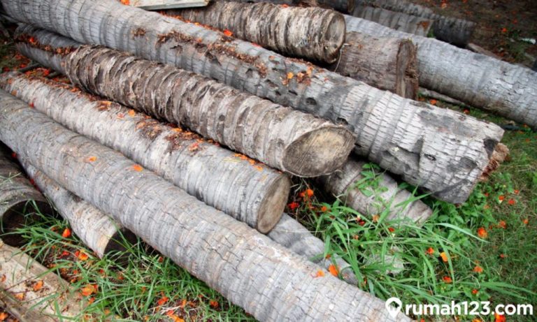 Daftar Harga Kayu Kelapa Berbagai Ukuran Lengkap Terbaru 2025