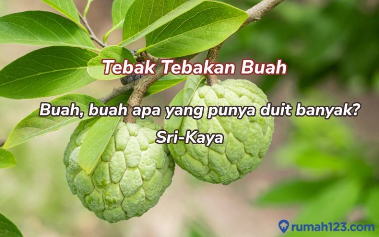 tebak tebakan buah