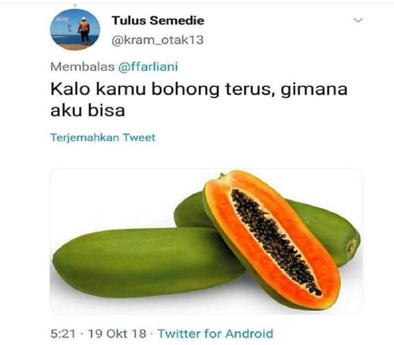 tebak tebakan lucu tentang buah